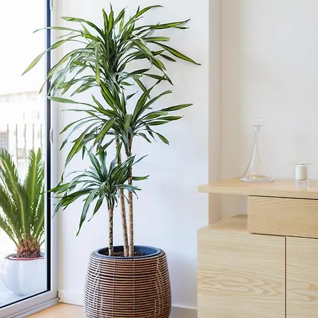 Sunny Vibes & Balcony With Pool Апартаменты *