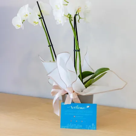 Sunny Vibes & Balcony With Pool דירה *