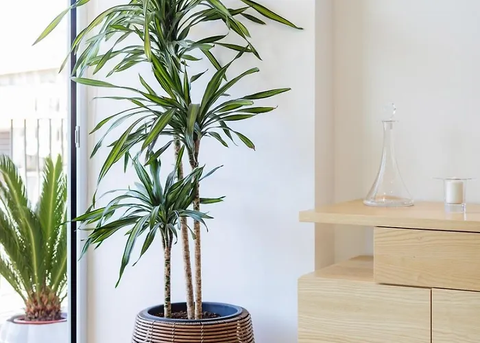Sunny Vibes & Balcony With Pool Apartment *