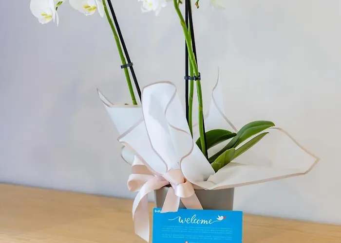 Sunny Vibes & Balcony With Pool Apartment *